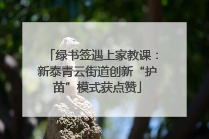 绿书签遇上家教课：新泰青云街道创新“护苗”模式获点赞